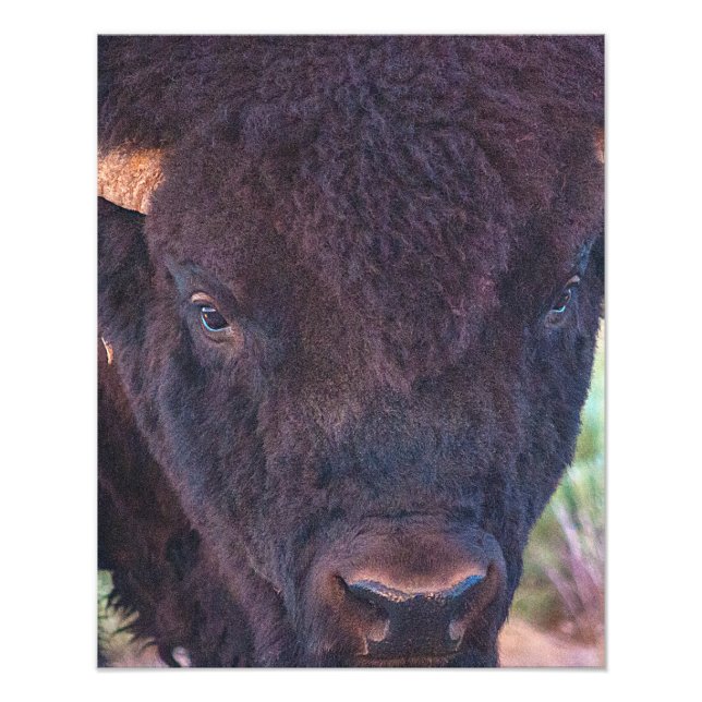 Portrait Of Bill Photo Print (Front)