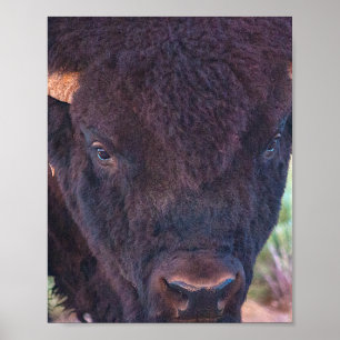 Portrait Of Bill Poster