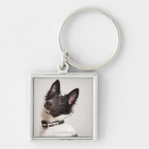 Portrait of black and white shetland sheepdog key ring