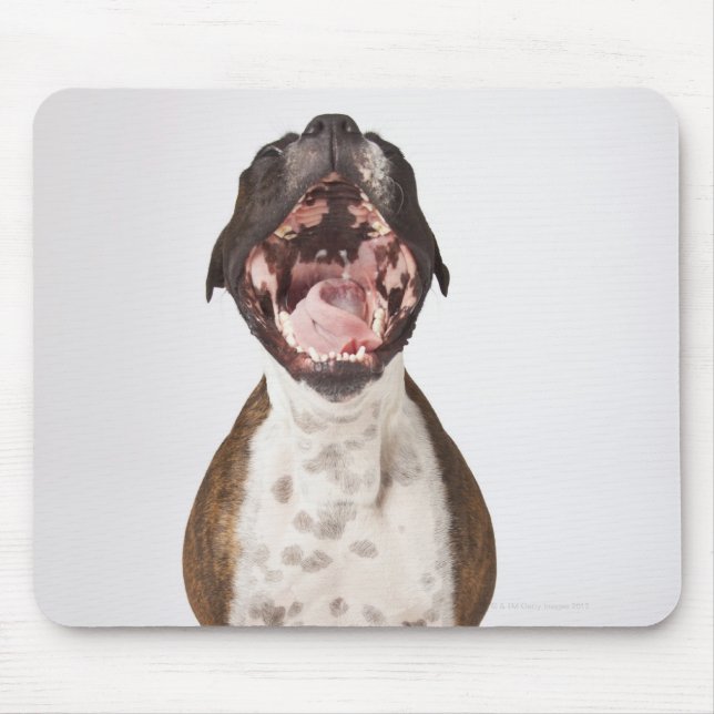 portrait of boxer dog yawning mouse mat (Front)