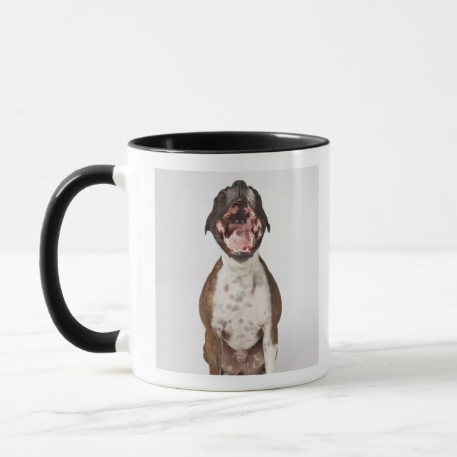 portrait of boxer dog yawning mug (Left)