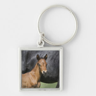 portrait of brown foal key ring