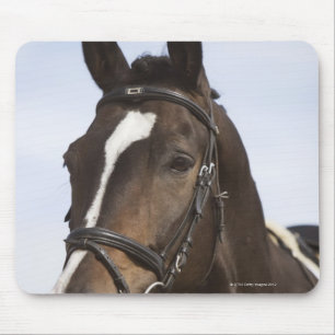 portrait of brown horse mouse mat