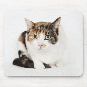 Portrait of Calico cat Mouse Mat