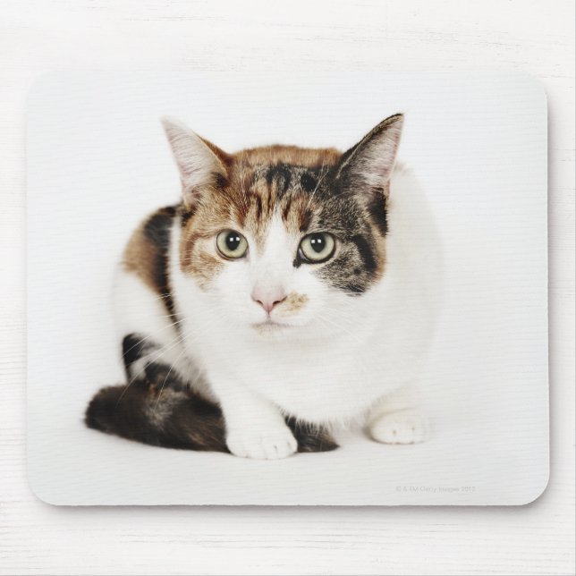 Portrait of Calico cat Mouse Mat (Front)