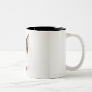 Portrait of Calico cat Two-Tone Coffee Mug