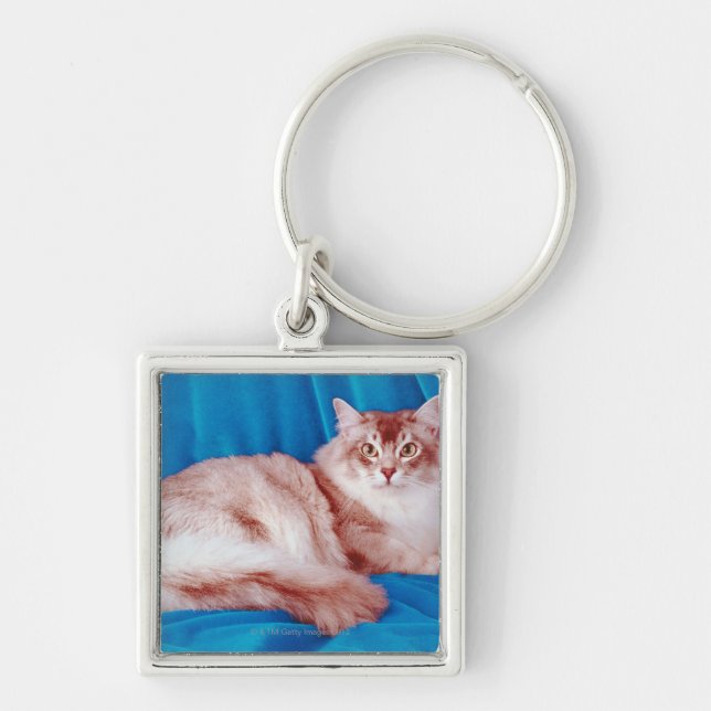 Portrait of cat 3 key ring (Front)