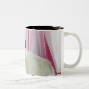 Portrait of cat 4 Two-Tone coffee mug