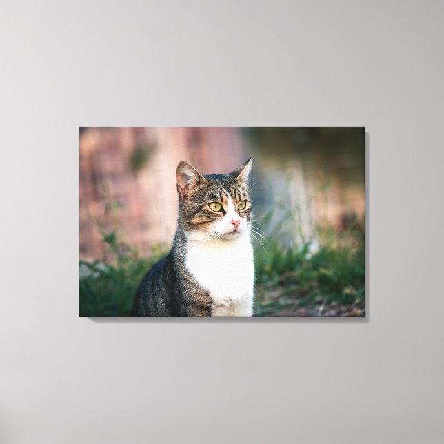 Portrait of cat canvas print (Front)