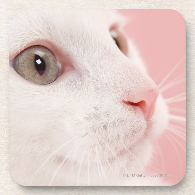 Portrait of cat coaster (Front)