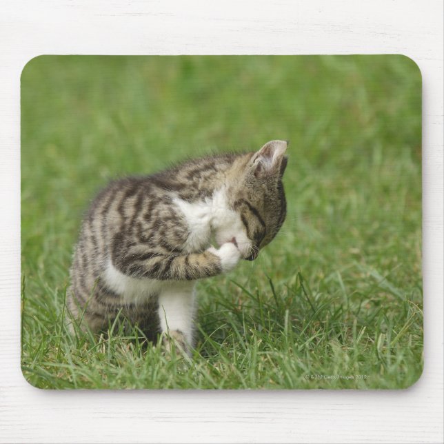 Portrait of Cat Mouse Mat (Front)