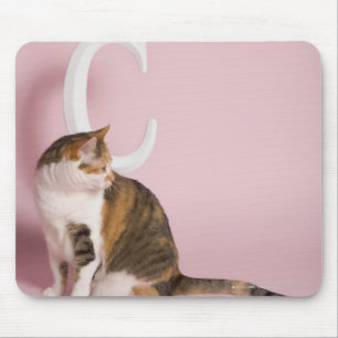 Portrait of cat mouse mat