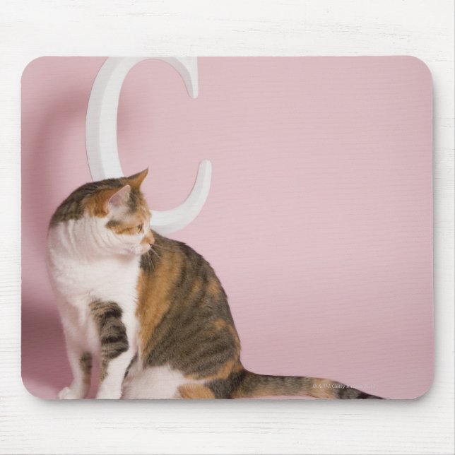 Portrait of cat mouse mat (Front)