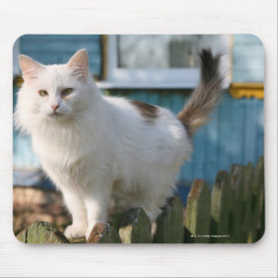 Portrait of cat on fence mouse mat