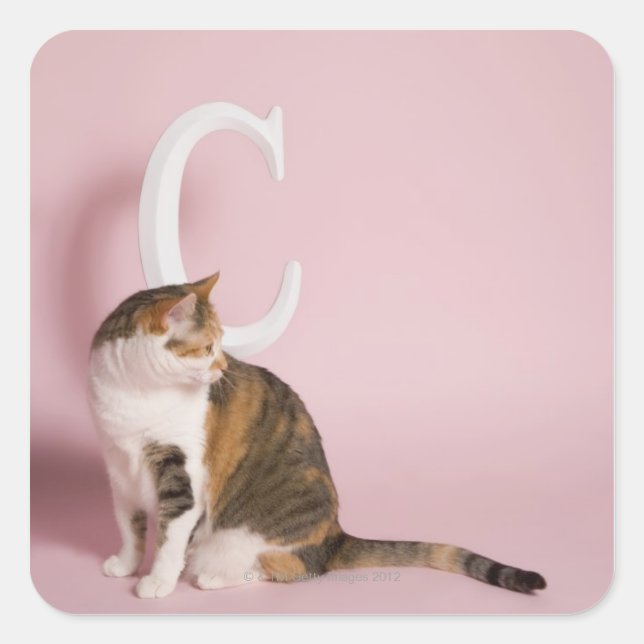 Portrait of cat square sticker (Front)