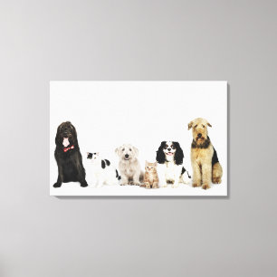 Portrait of cats and dogs sitting together canvas print