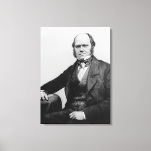 Portrait of Charles Darwin, 1854 Canvas Print