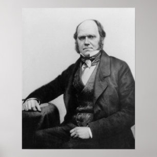 Portrait of Charles Darwin, 1854 Poster