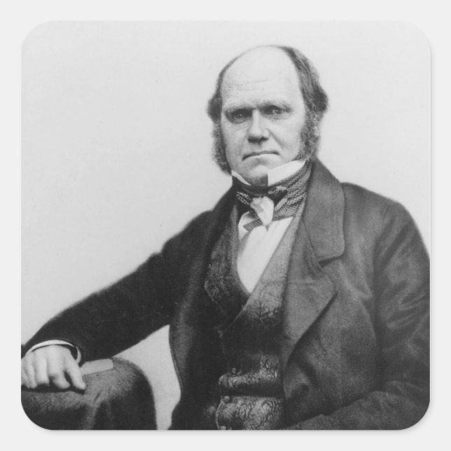Portrait of Charles Darwin, 1854 Square Sticker (Front)