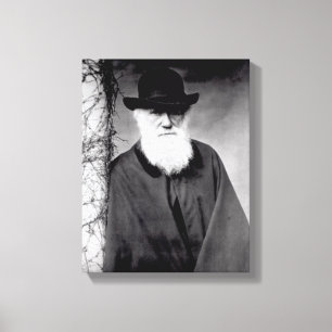 Portrait of Charles Darwin 1881 Canvas Print