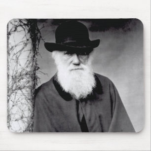 Portrait of Charles Darwin  1881 Mouse Mat