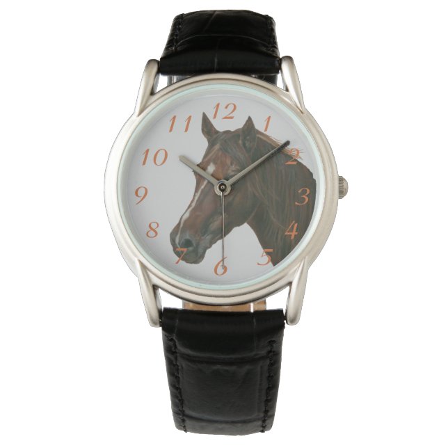 portrait of chestnut mare horse equine brown horse watch (Front)