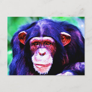 Portrait of Chimpanzee Postcard