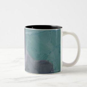 Portrait of Common Bottlenose Dolphin, Caribbean Two-Tone Coffee Mug