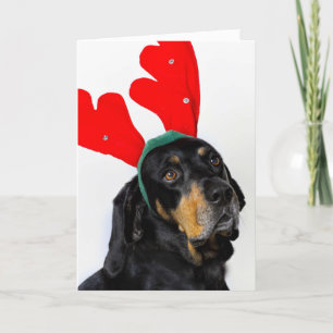 Portrait of Coonhound dog, wearing red antlers Holiday Card