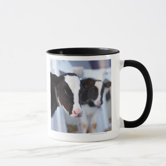 Portrait of cow mug (Right)