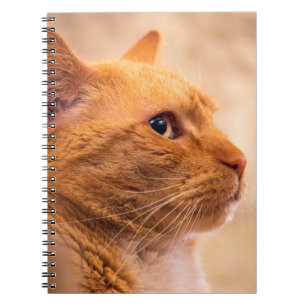Portrait of Curious Orange Tabby Cat Nature Photo Notebook