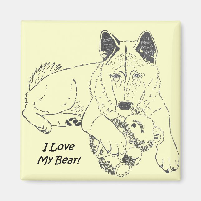 portrait of cute akita dog with teddy bear magnet (Front)