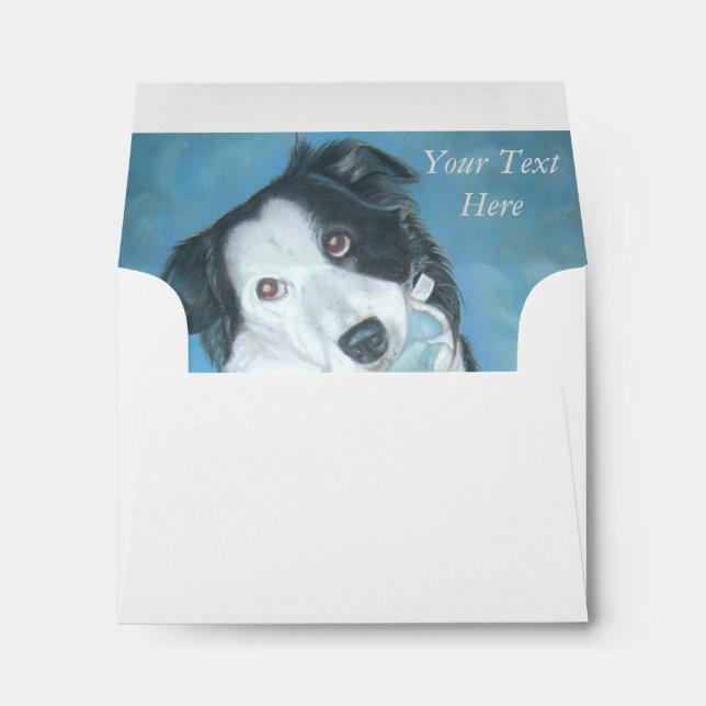 portrait of cute border collie dog envelopes (Back (Bottom))