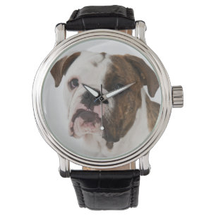 Portrait of cute Bulldog pup Watch