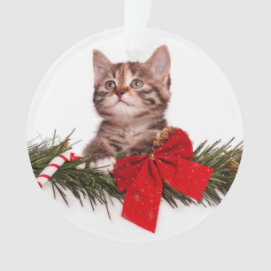Portrait Of Cute Christmas Kitten Ornament
