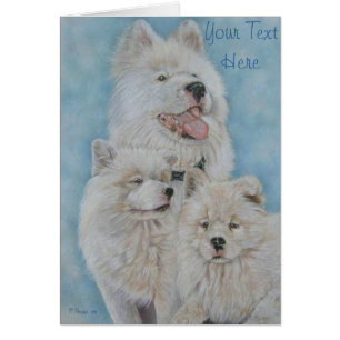 portrait of cute white long coat akita dog