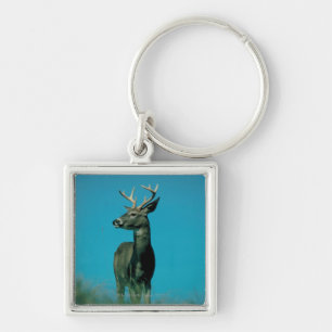 Portrait of deer key ring