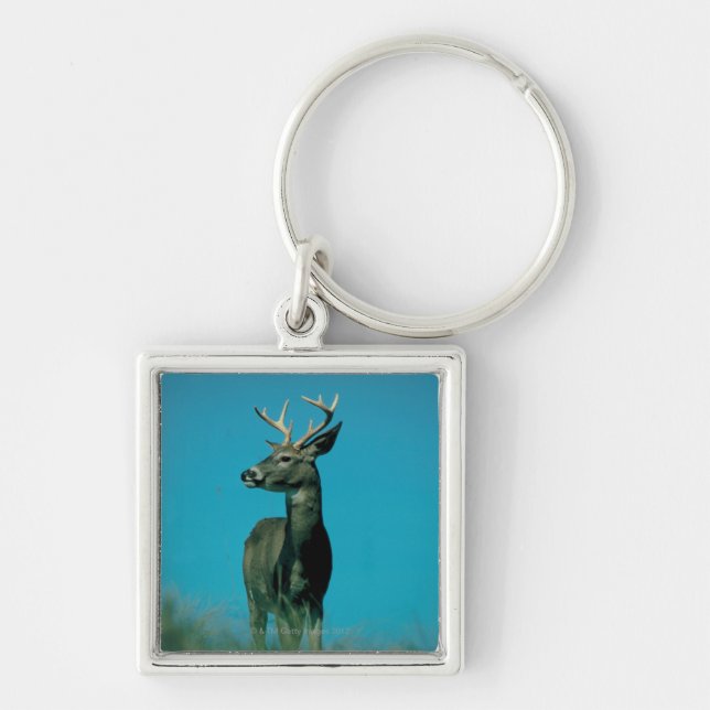 Portrait of deer key ring (Front)