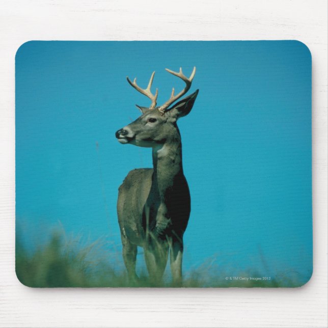 Portrait of deer mouse mat (Front)