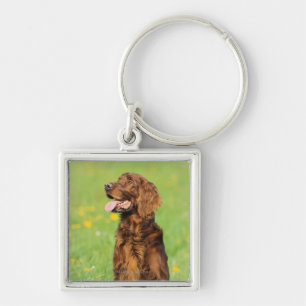 Portrait of Dog 2 Key Ring