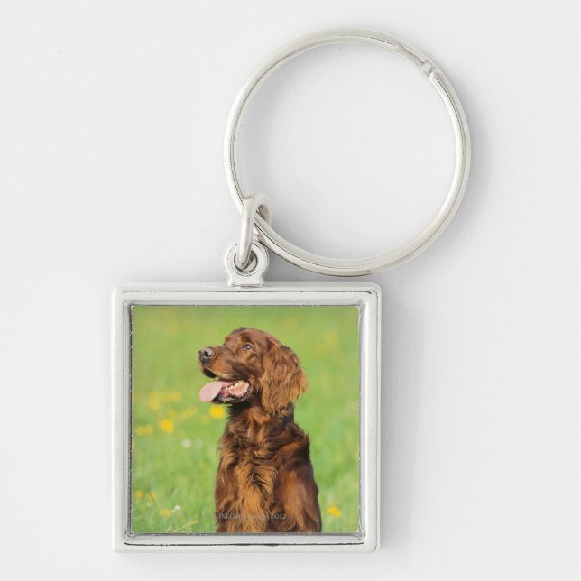 Portrait of Dog 2 Key Ring (Front)