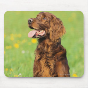 Portrait of Dog 2 Mouse Mat