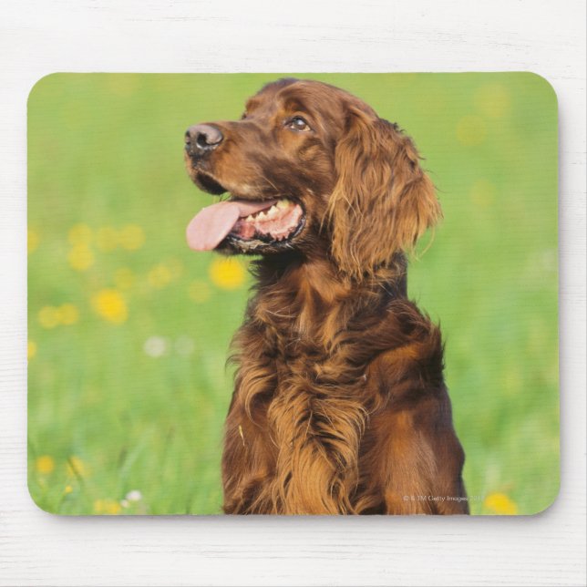 Portrait of Dog 2 Mouse Mat (Front)