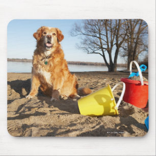 Portrait of dog at beach with sand toys, Ottawa, Mouse Mat