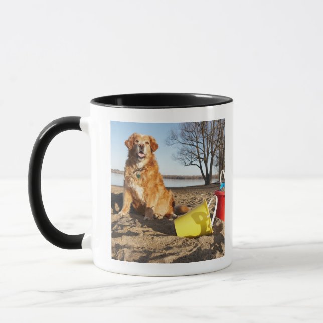 Portrait of dog at beach with sand toys, Ottawa, Mug (Left)