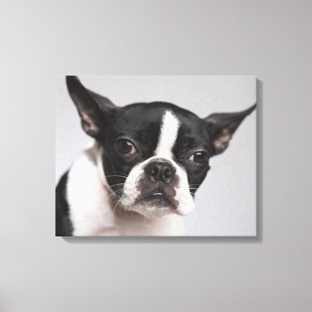Portrait of dog canvas print (Front)