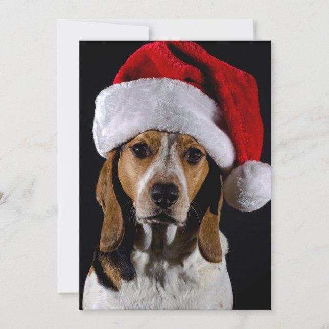 Portrait of dog hound wearing Christmas hat Holiday Card (Front)