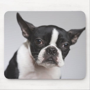 Portrait of dog mouse mat