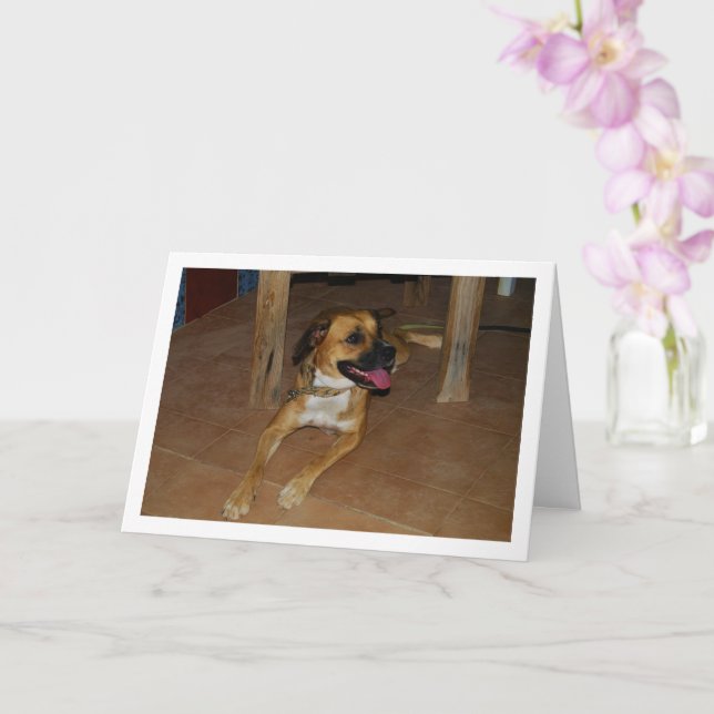 Portrait of Dog on Floor Card (Orchid)
