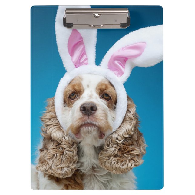 Portrait of dog wearing Easter bunny ears Clipboard (Front)
